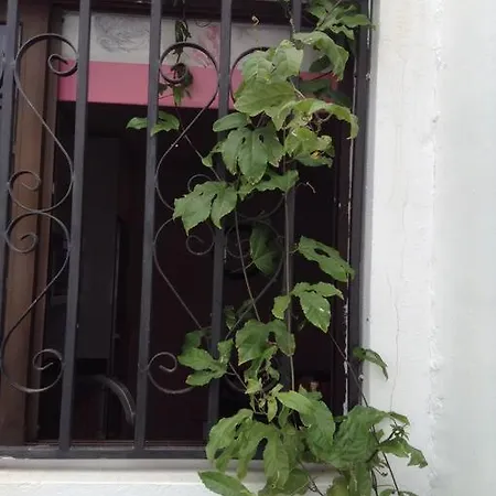 Apartment Magnifica Casa A 200 Mts De La Playa Puerto Colon De Membrillo *